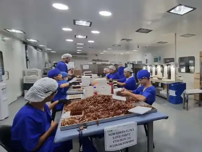 Fentanilo mortal: un informe de la Anmat asegura que hubo graves fallas en la producción