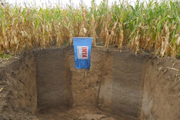 ¿Cuánta cantidad de agua puede retener el suelo?