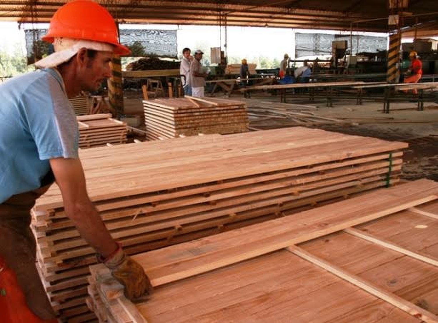 El sector maderero cierra un año con fuerte caída en las ventas