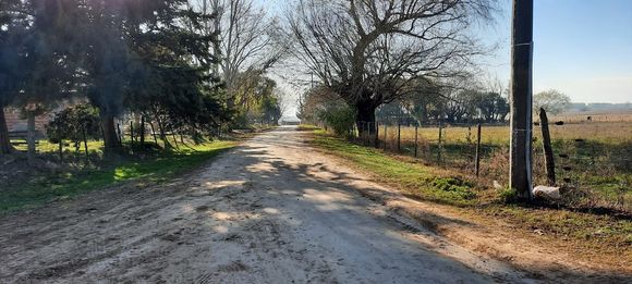 Bajo Tala: “El transporte que lleva a lo chicos a la escuela no vino”