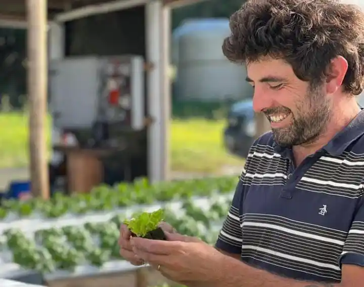 LA PLANTACIÓN: producción y comercialización de hortalizas de hoja bajo modalidad hidroponía