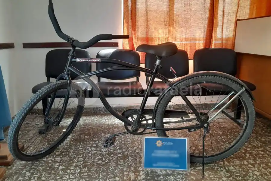 Rompieron un tejido e intentaron ingresar a robar a la Escuela Apadir