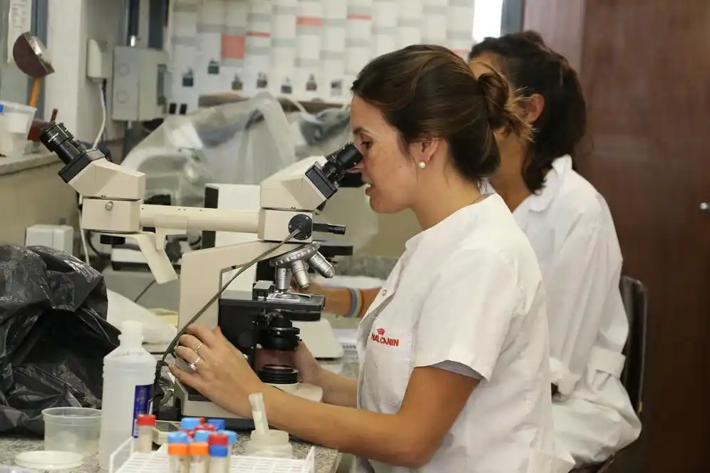 Investigadores de Veterinarias en busca de mejorar la rentabilidad