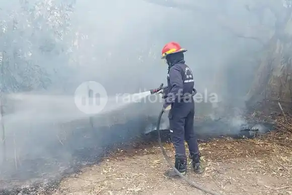 Arduo trabajo de Bomberos en la región en distintos focos de incendio