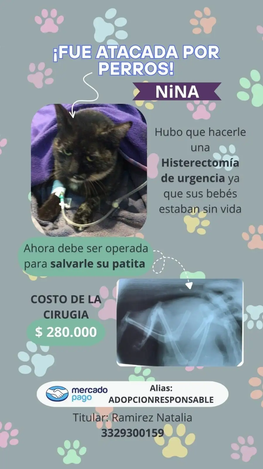 pedido solidario para nina