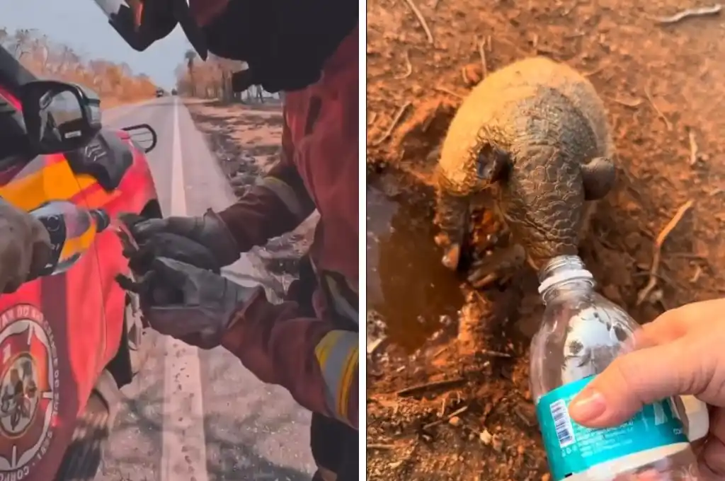 La sequía actual es récord en Brasil.