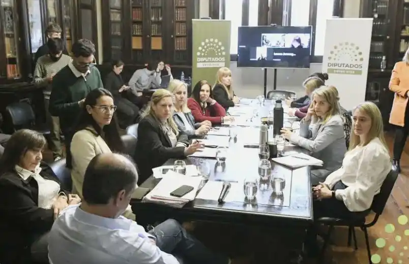 Diputados comenzó a analizar la prohibición de deudores alimentarios en espectáculos culturales y deportivos