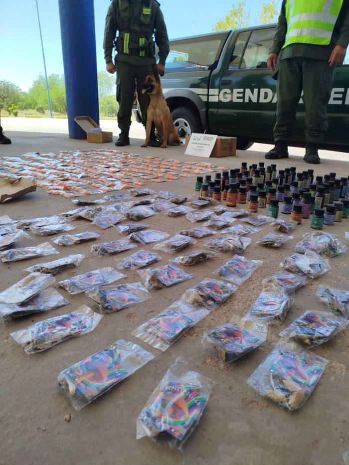 san luis hongos drogas - 3