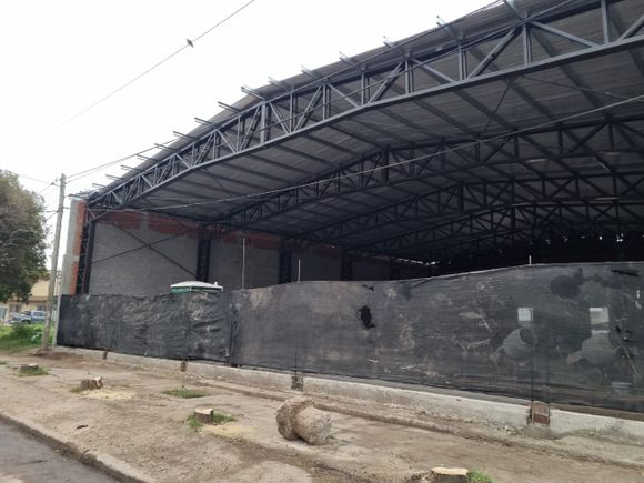 Multa de $ 386 mil a quienes sacaron 9 árboles en 3 de Febrero y José Hernández