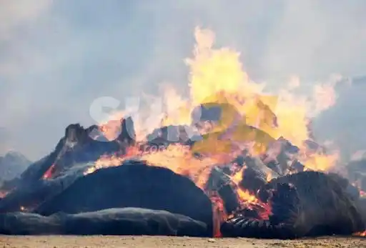Devastador incendio en una planta algodonera