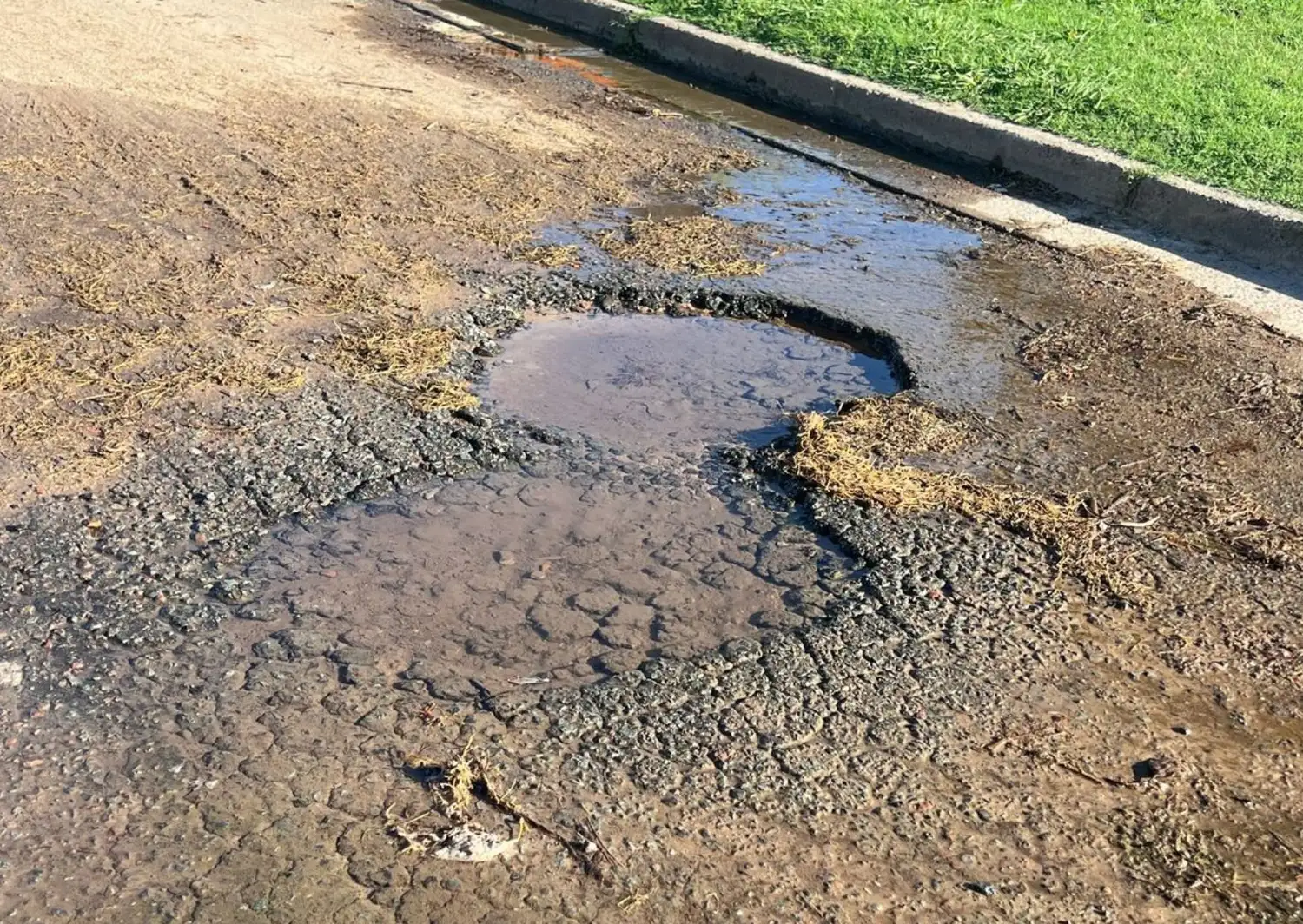 reporte calle Thorne