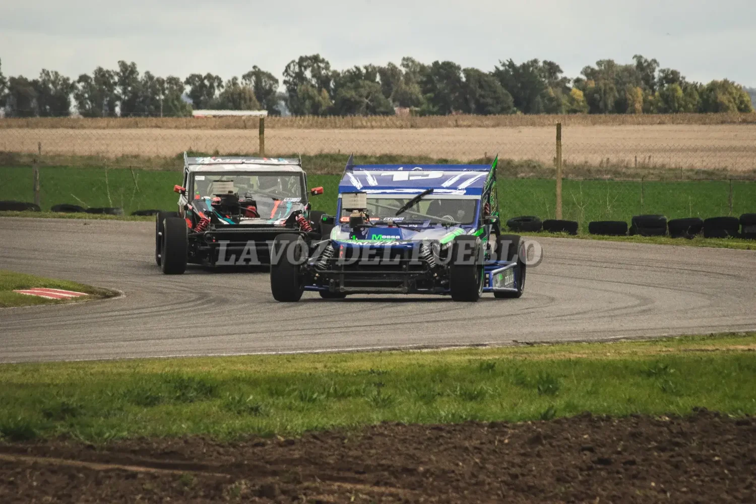 Miniatura de imagen 14