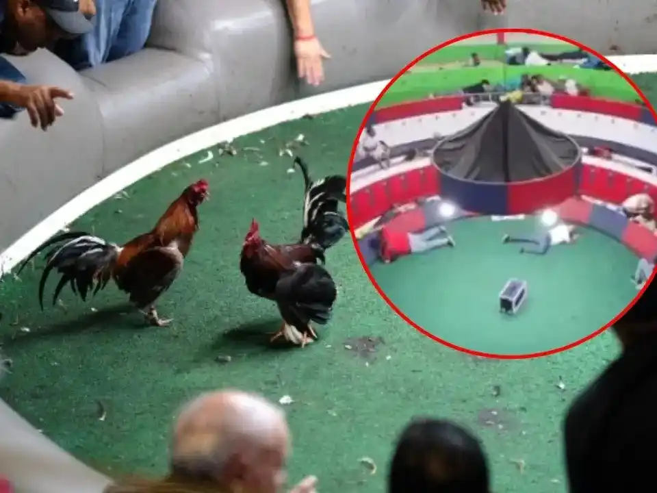 El ataque a una “gallera” dejó once muertos en Ecuador.