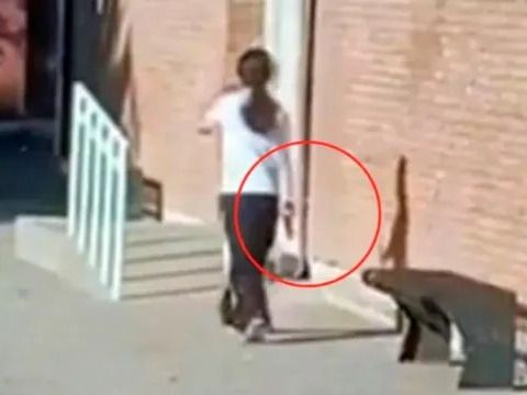 Terror en Mendoza: una adolescente fue al colegio con un arma, efectuó disparos al aire y se atrincheró