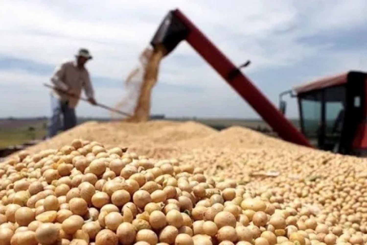 El Gobierno anuncia una ayuda de hasta $20.000 por hectárea para pequeños productores