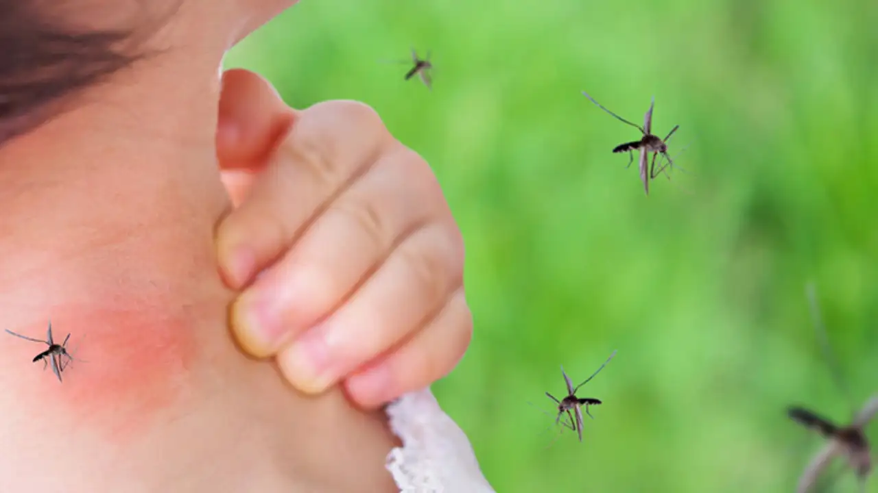 Nuevos bloqueos con fumigación por 2 casos confirmados de dengue