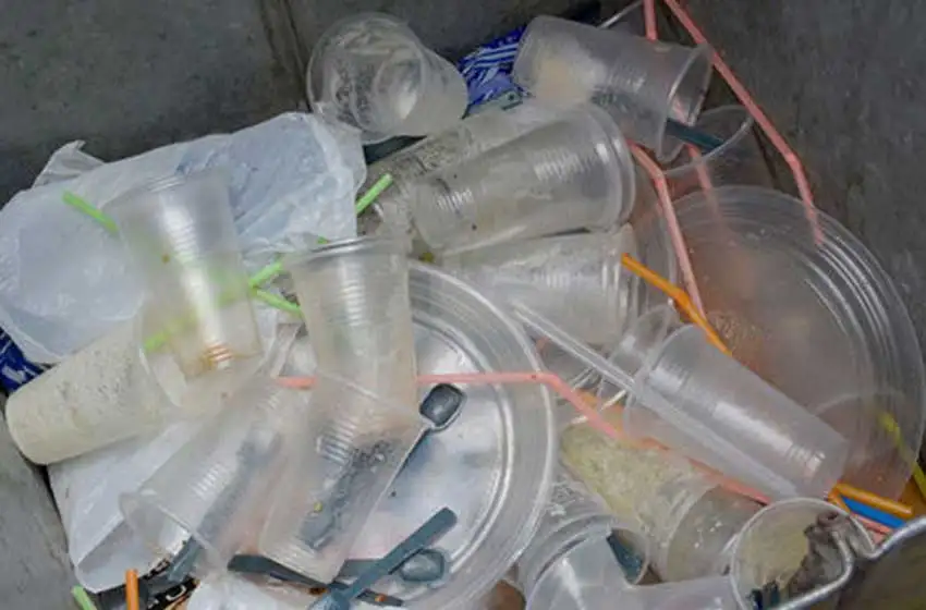 "Esto abrirá la puerta a que la ciudad use materiales biodegradables"