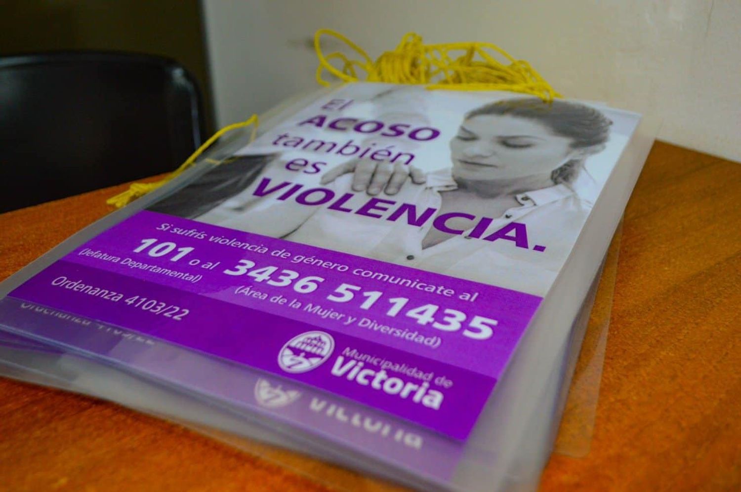 Las alarmantes cifras de denuncias por violencia contra la mujer en la ciudad