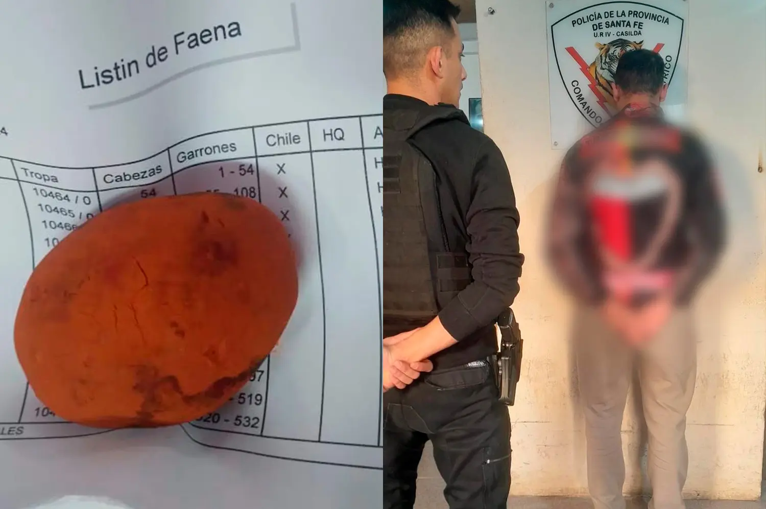 Detuvieron a un hombre por intentar robar "oro vacuno" en una empresa rafaelina
