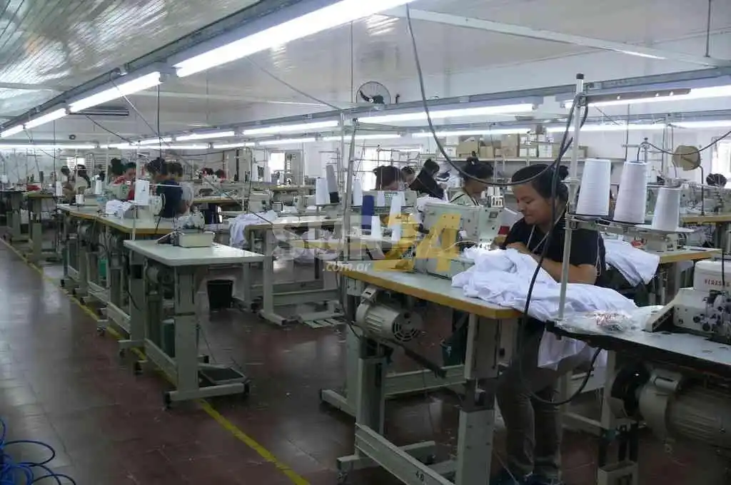 Mujeres cooperativistas y mutualistas: las voces que faltaban en la economía social