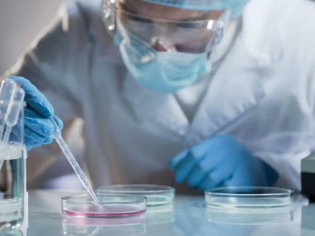 Las primeras dosis de Pfizer llegarán al país en septiembre