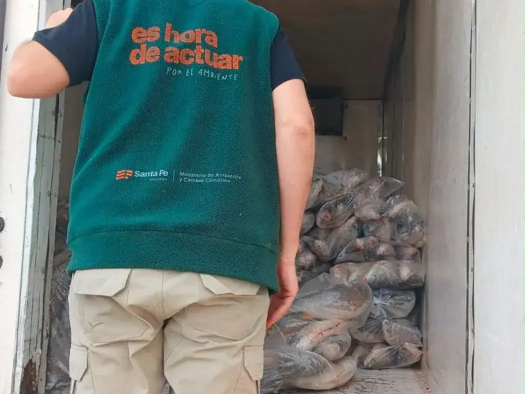 Fuertes operativos contra la caza y la pesca ilegal en Santa Fe: tres aprehendidos y toneladas de pescado decomisadas - 4