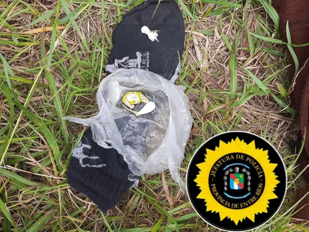 Viajaba en colectivo con cocaína y un can detector lo delató