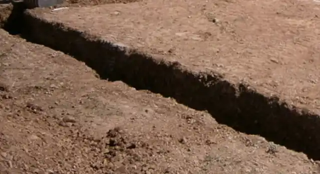 Halló un cráneo mientras construía el cimiento de una obra en La Plata 1450