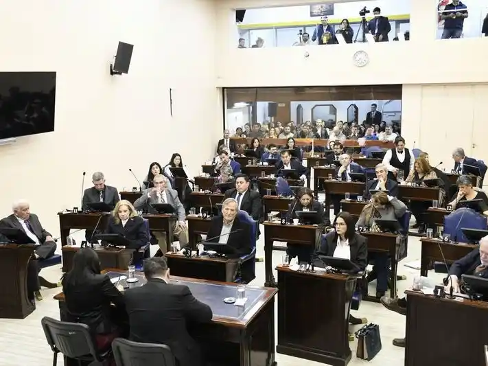 La convención constituyente de 
Formosa aprobó causas estratégicas