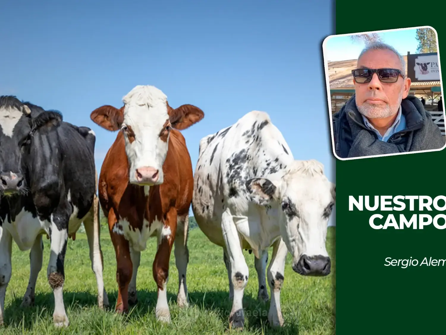 La soja alcanzó los 565.000 pesos por tonelada y Cañuelas mantuvo sus valores ganaderos