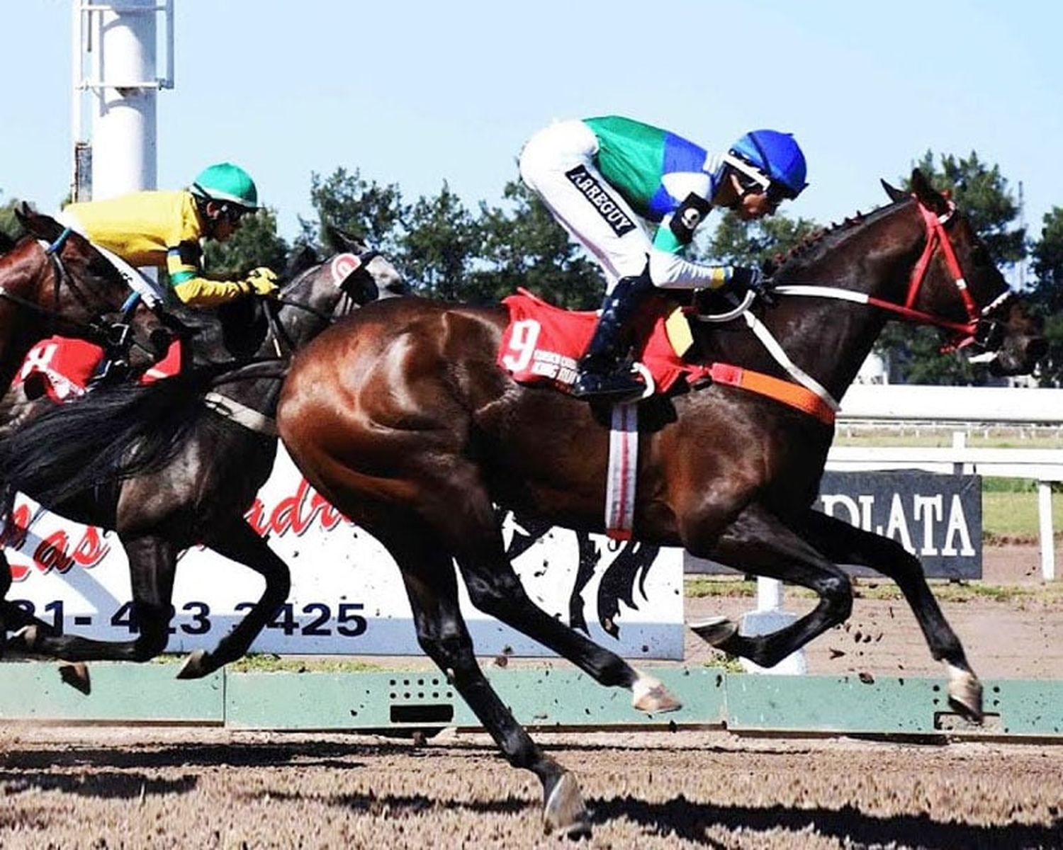 Martes 20: Actividad Hipódromo de La Plata