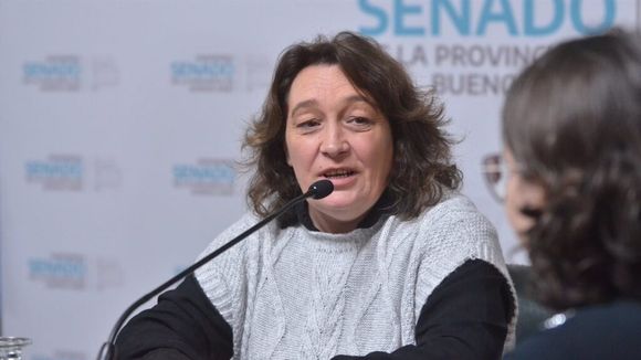 Senadora bonaerense presentó un proyecto para desarrollar los comercios de barrio