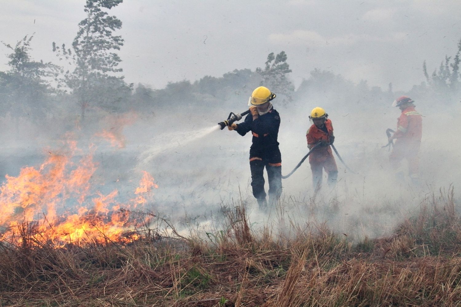 Intensa actividad de bomberos durante la tarde del sábado