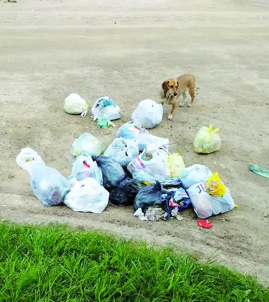 Proyecto regional para el tratamiento de residuos
