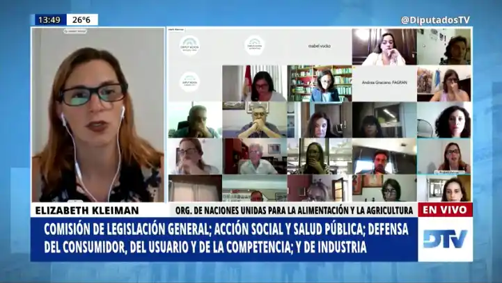 Diputados trabaja en el proyecto de ley de Etiquetado Frontal