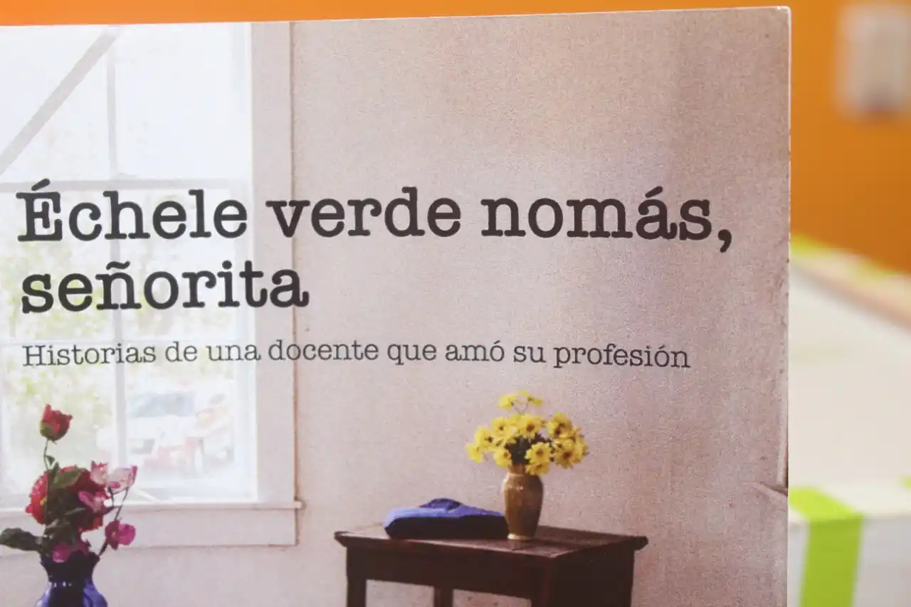"Échele verde nomás, señorita": historias de una docente que amó su profesión