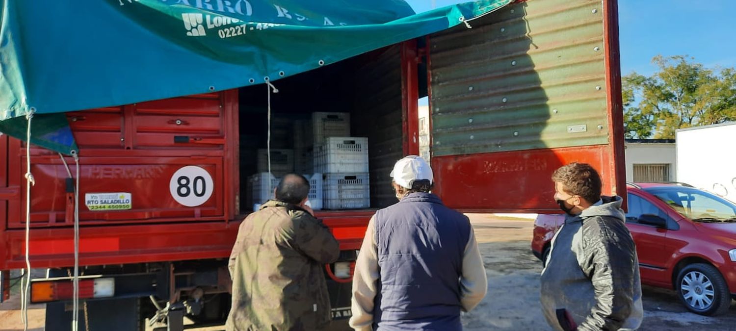 Decomisan alrededor de 1500 kilos de queso trasladados de manera irregular: serán destruidos