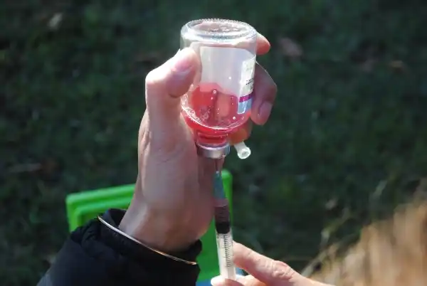 Bloqueo sanitario en el barrio Fátima tras detectarse un murciélago con rabia