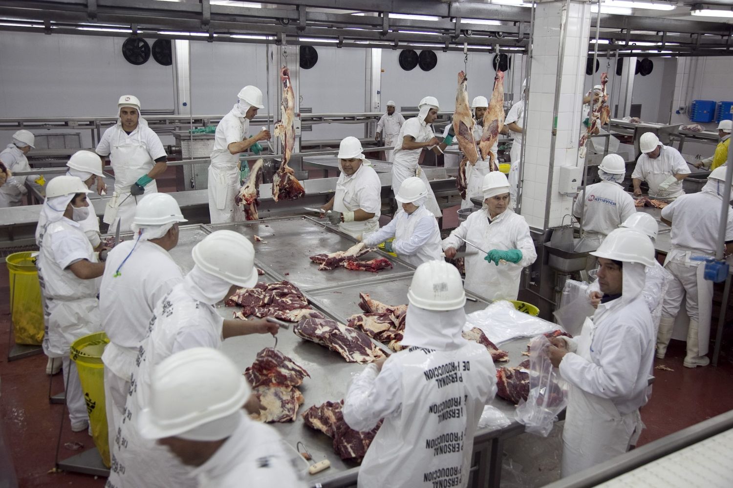 Carne argentina: los potenciales  beneficios para firmas santafesinas