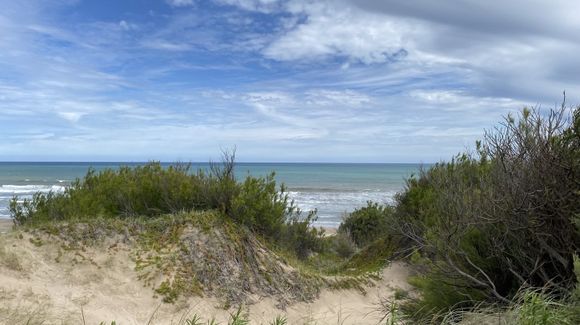 Nueva Reserva Natural Municipal en Lobería: Una propuesta de ecoturismo sobre el imponente mar