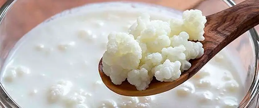 Estas son las 3 bebidas que puedes tomar en la noche para quemar grasa abdominal