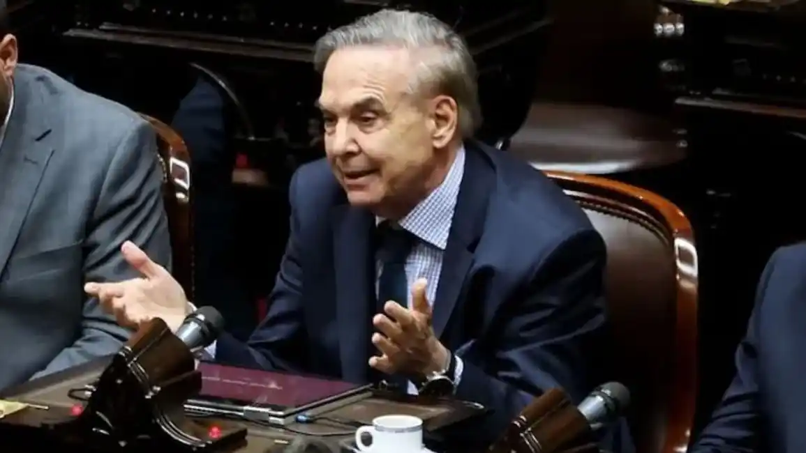 Polémica percepción de Pichetto sobre la cultura nacional