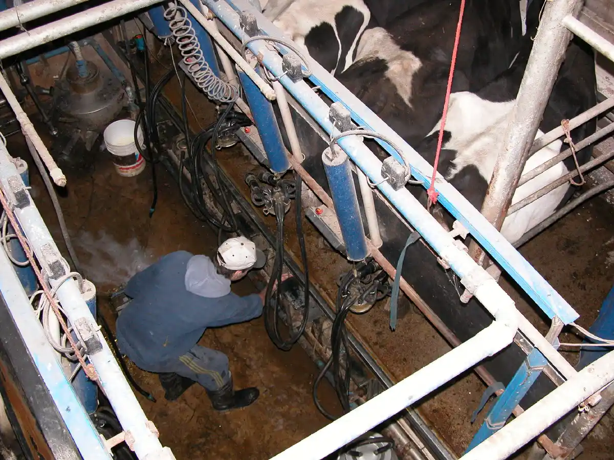 Tamberos piden intervención del Estado para reducir la brecha el productor y las góndolas