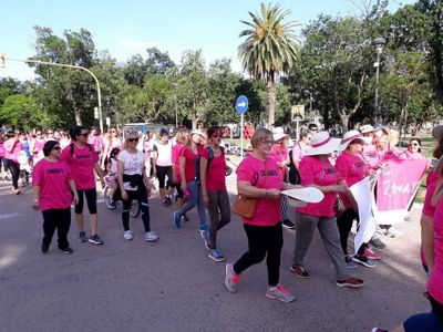 Venado: nueva caminata de Lalcec VT en el mes de lucha contra el cáncer de mama