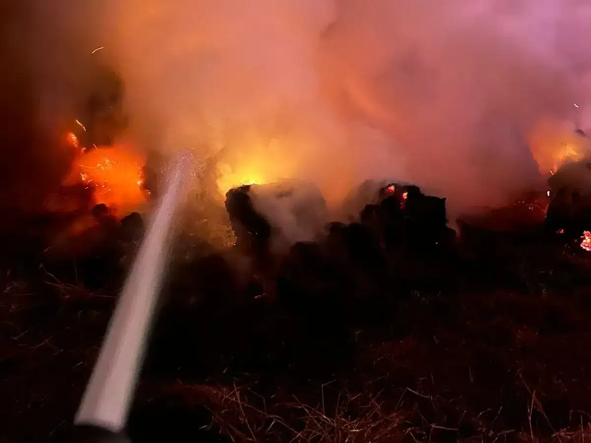 Bomberos controlaron el incendio de rollos en un predio de Morteros - 4
