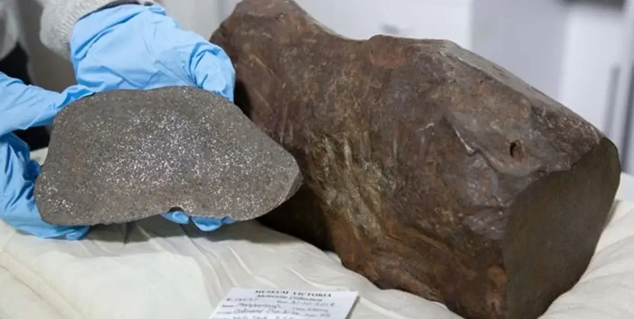 Buscaba oro y terminó encontrando un meteorito de 17 kilos con 4.600 millones de años