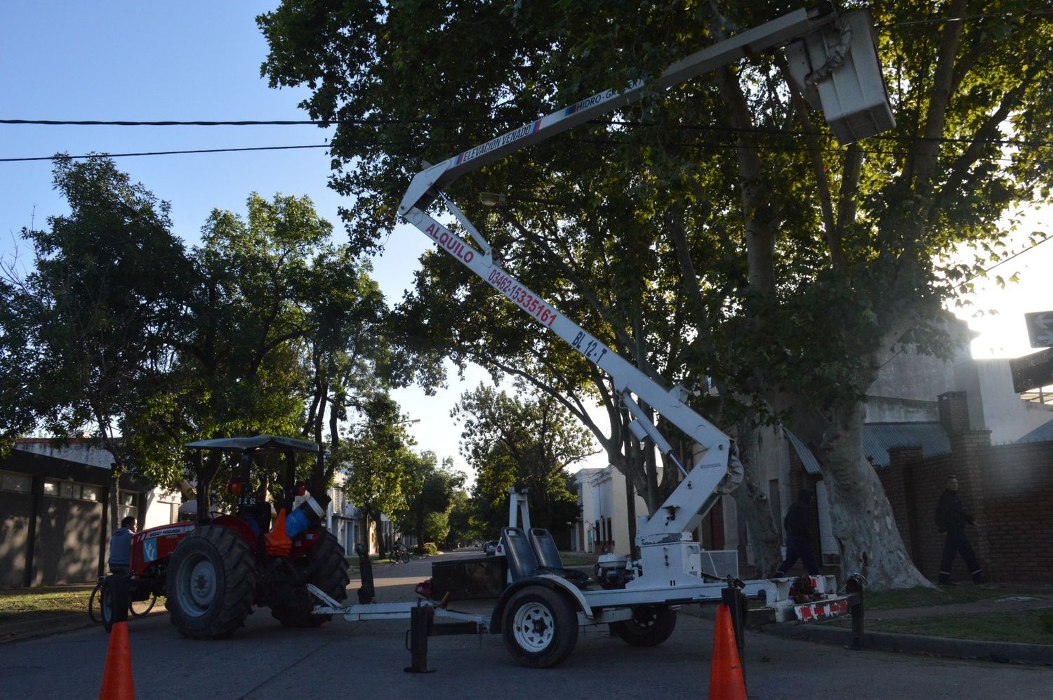 Poda con hidroelevadores en calles céntricas