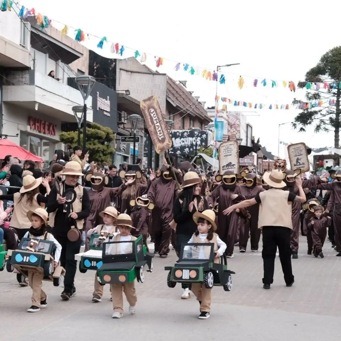 diversidad gesell