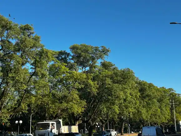 Domingo en la ciudad de Rafaela: sigue el calor