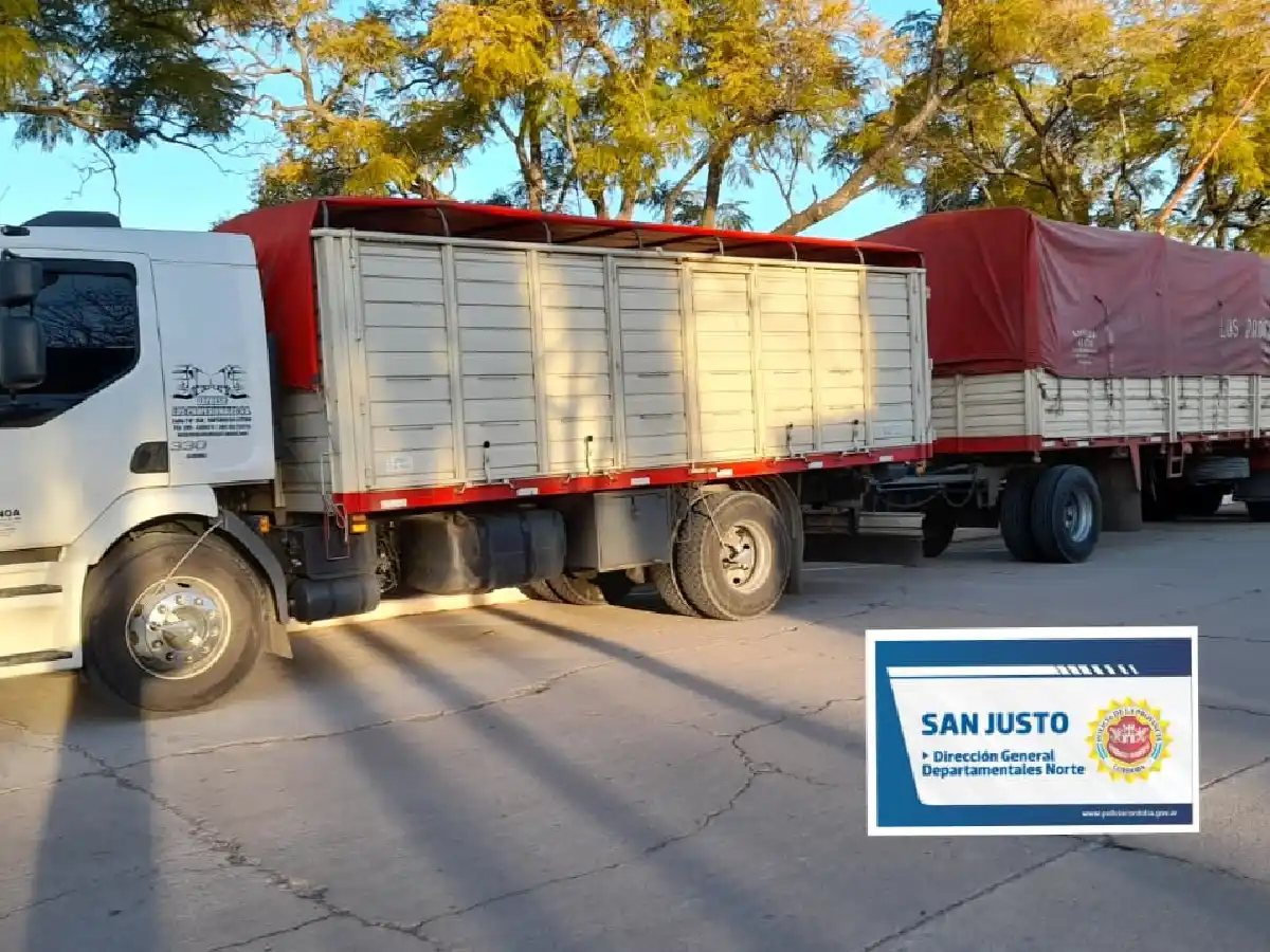 Incautaron camión y detienen a su conductor que causó grave accidente